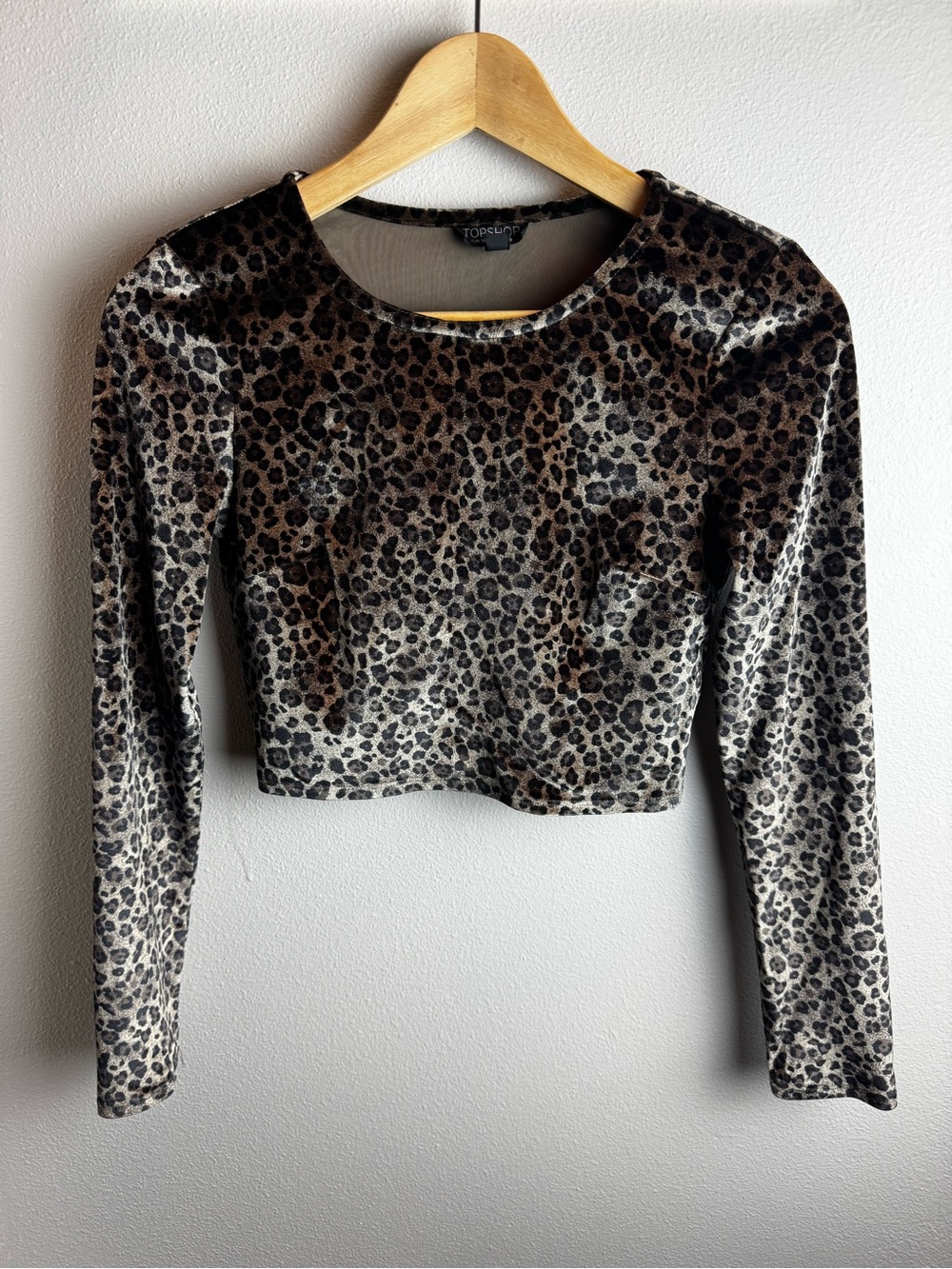 Topshop Brown and Black Leopard Print Long Sleeve Crop Top